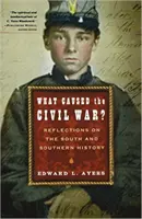 Co způsobilo občanskou válku? Úvahy o Jihu a jižanských dějinách - What Caused the Civil War?: Reflections on the South and Southern History