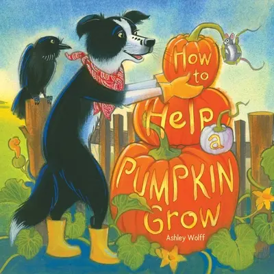 Jak pomoci dýni vyrůst - How to Help a Pumpkin Grow