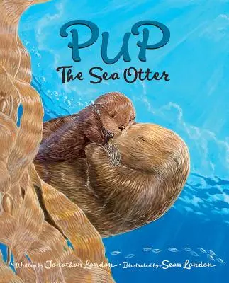 Štěně mořské vydry - Pup the Sea Otter
