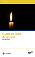 Průvodce APIL smrtelnými nehodami (Exall Gordon (Barrister Zenith Chambers)) - APIL Guide to Fatal Accidents (Exall Gordon (Barrister Zenith Chambers))