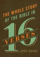 Celý příběh Bible v 16 verších - The Whole Story of the Bible in 16 Verses