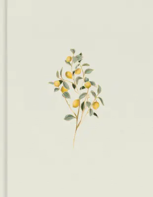 CSB Notářská bible, Hosanna Revival Edition, Citróny - CSB Notetaking Bible, Hosanna Revival Edition, Lemons