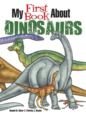Moje první kniha o dinosaurech: První knížka o dinosaurech: Vybarvi a poznávej - My First Book about Dinosaurs: Color and Learn