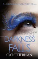 Temnota padá (Nesmrtelně milovaná kniha druhá) - Darkness Falls (Immortal Beloved Book Two)