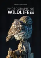 Fotografování divoké přírody ve Velké Británii - kde a jak pořídit skvělé fotografie divoké přírody - Photographing Wildlife in the UK - Where and How to Take Great Wildlife Photographs