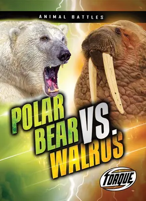 Lední medvěd vs. mrož - Polar Bear vs. Walrus