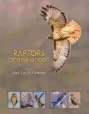 Dravci Nového Mexika - Raptors of New Mexico
