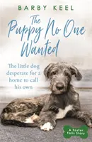 Štěně, které nikdo nechtěl - Malý pes zoufale hledající domov, který by mohl nazývat svým vlastním - Puppy No One Wanted - The young dog desperate for a home to call his own