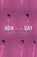 Jak být gay - How to Be Gay