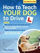 Jak naučit psa řídit - How to Teach your Dog to Drive