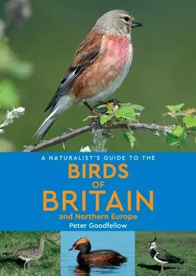 Přírodovědný průvodce ptáky Británie a severní Evropy - A Naturalist's Guide to the Birds of Britain & Northern Europe