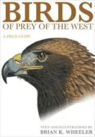 Draví ptáci Západu: Terénní průvodce - Birds of Prey of the West: A Field Guide