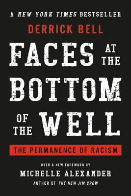 Tváře na dně studny: Přetrvávající rasismus - Faces at the Bottom of the Well: The Permanence of Racism