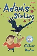 Adamův špaček - Adam's Starling