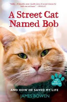 Pouliční kocour jménem Bob a jak mi zachránil život - A Street Cat Named Bob and How He Saved My Life
