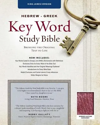 Hebrejsko-řecká studijní bible Klíčová slova-KJV: Klíčové poznatky k Božímu slovu - Hebrew-Greek Key Word Study Bible-KJV: Key Insights Into God's Word