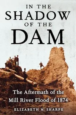 Ve stínu přehrady: následky povodně na Mlýnské řece v roce 1874 - In the Shadow of the Dam: The Aftermath of the Mill River Flood of 1874