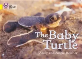 Želví mládě - The Baby Turtle