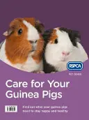 Péče o morčata - Care for Your Guinea Pigs