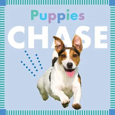 Honba za štěňaty - Puppies Chase