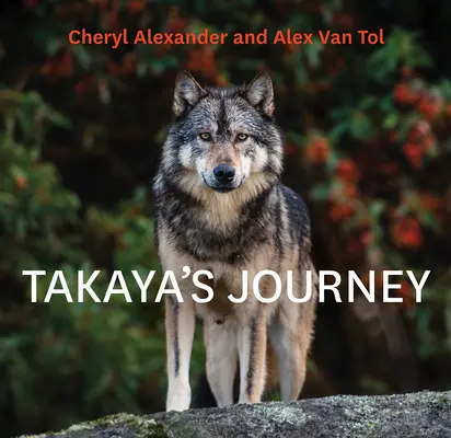 Takayova cesta - Takaya's Journey