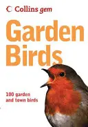 Ptáci na zahradě - Garden Birds