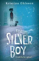 Stříbrný chlapec - Silver Boy