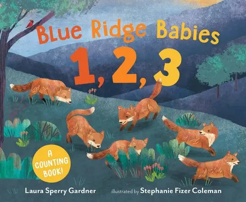 Blue Ridge Babies 1, 2, 3: A Counting Book (Děti z Modrého hřebene 1, 2, 3: Počítání) - Blue Ridge Babies 1, 2, 3: A Counting Book