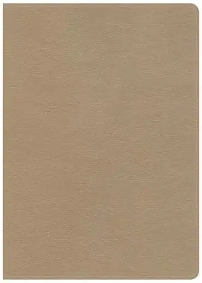 CSB She Reads Truth Bible, Champagne Gold Leathertouch, Indexed: Snadno čitelné písmo, prostor pro poznámky, devocionálie, plány četby, snadno čitelné písmo - CSB She Reads Truth Bible, Champagne Gold Leathertouch, Indexed: Notetaking Space, Devotionals, Reading Plans, Easy-To-Read Font