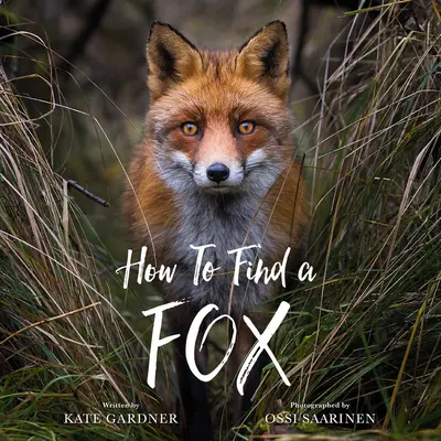 Jak najít lišku - How to Find a Fox