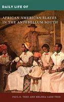 Každodenní život afroamerických otroků na jihu v období před naším letopočtem - Daily Life of African American Slaves in the Antebellum South