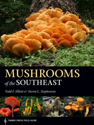 Houby jihovýchodu - Mushrooms of the Southeast