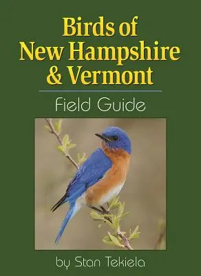 Terénní průvodce ptáky New Hampshire a Vermontu - Birds of New Hampshire & Vermont Field Guide