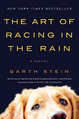 Umění závodit v dešti - The Art of Racing in the Rain
