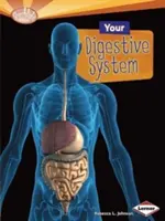 Váš trávicí systém - Your Digestive System