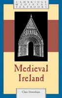 Středověké Irsko - Medieval Ireland