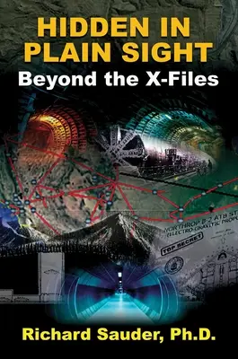 Skryté na první pohled: Za hranicemi Akt X - Hidden in Plain Sight: Beyond the X-Files