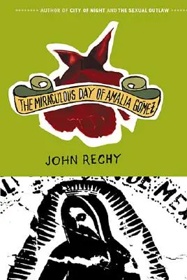 Zázračný den Amálie Gmezové - The Miraculous Day of Amalia Gmez