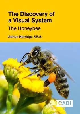 Objev vizuálního systému - Včela medonosná - The Discovery of a Visual System - The Honeybee