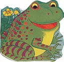 Kapesní žabka - Pocket Frog