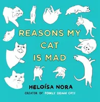 Důvody, proč je moje kočka naštvaná - Reasons My Cat Is Mad