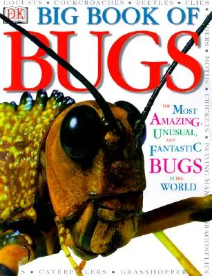 Velká kniha o chybách - Big Book of Bugs
