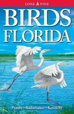 Ptáci Floridy - Birds of Florida