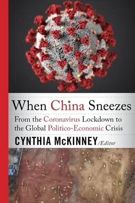 Když Čína kýchne: Od koronavirové uzávěry po globální politicko-ekonomickou krizi - When China Sneezes: From the Coronavirus Lockdown to the Global Politico-Economic Crisis
