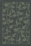 The Bront Sisters Boxed Set: Jane Eyrová; Větrná hůrka; Nájemník z Wildfell Hall; Villette. - The Bront Sisters Boxed Set: Jane Eyre; Wuthering Heights; The Tenant of Wildfell Hall; Villette