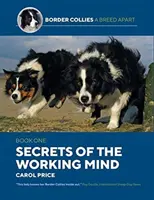 Tajemství pracující mysli - Secrets Of The Working Mind
