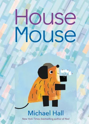 Myš domácí - House Mouse