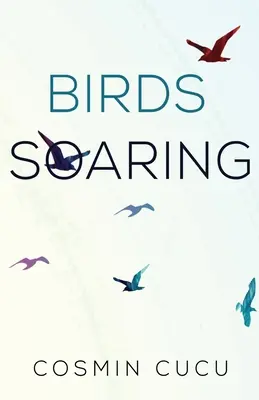 Vzlétající ptáci - Birds Soaring