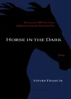 Kůň ve tmě - Horse in the Dark