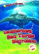 Migrace mořských želv kožnatých - Leatherback Sea Turtle Migration